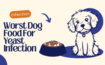 Worst Dog Food For Yeast Infection