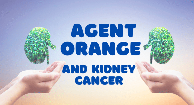 agent orange and kidney cancer