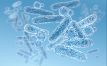 pluralibacter gergoviae infection