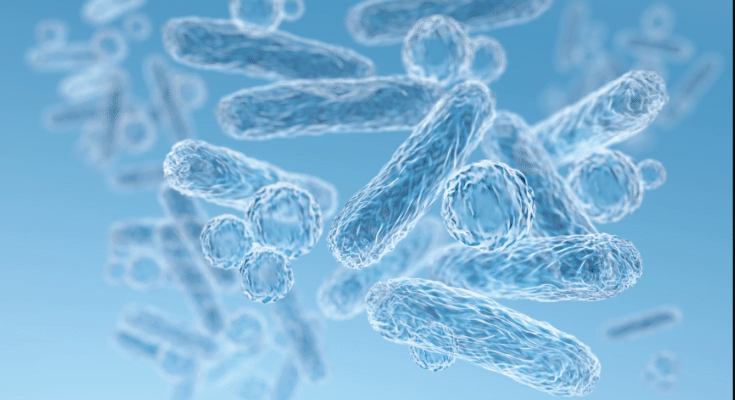 pluralibacter gergoviae infection